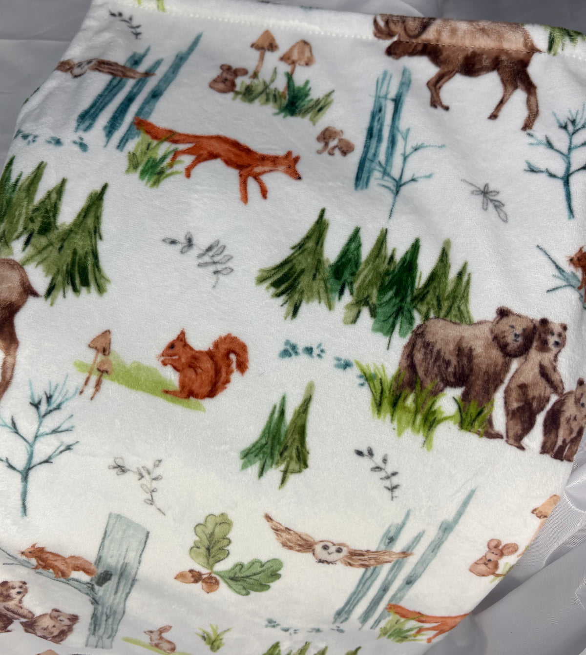 Pine and Paw Pouchy